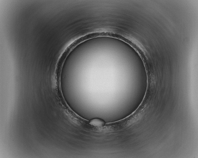 X0000116420927200912081501