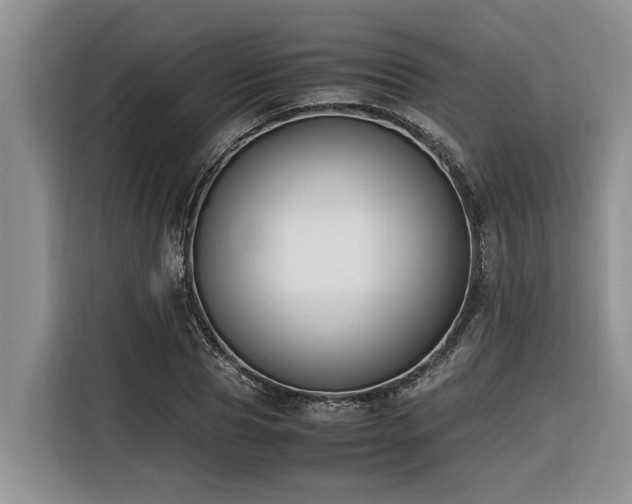 X0000116420929200912081501