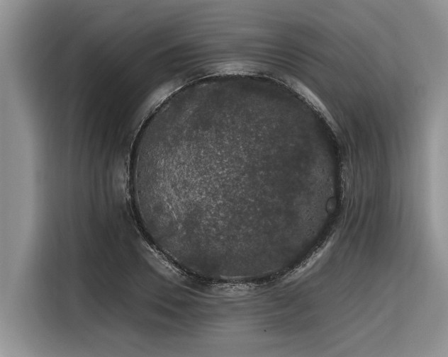 X0000116420930200912081501