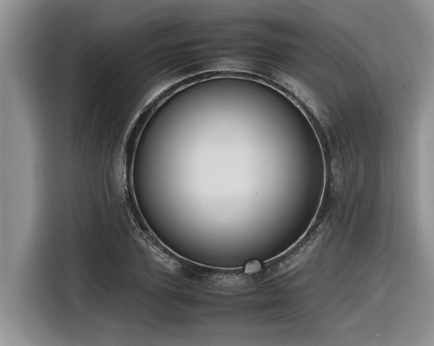 X0000116420931200912081501