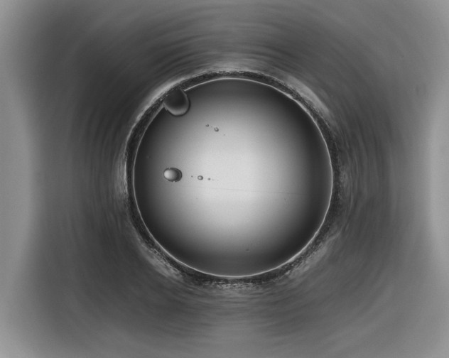 X0000116420934200912081501
