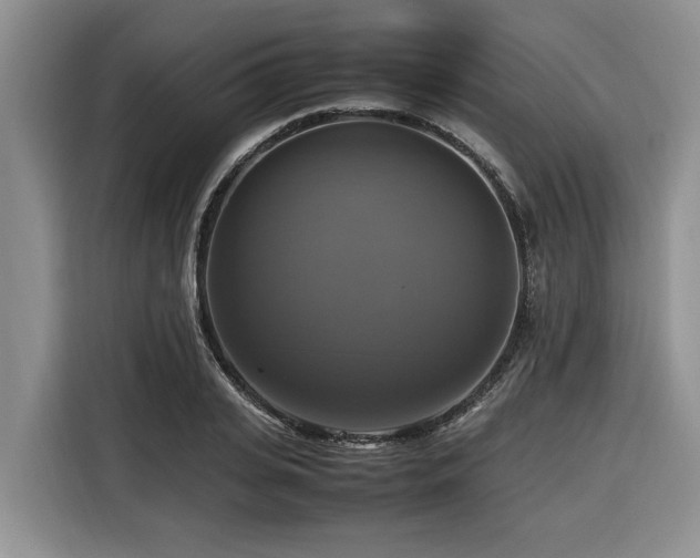 X0000116420935200912081501