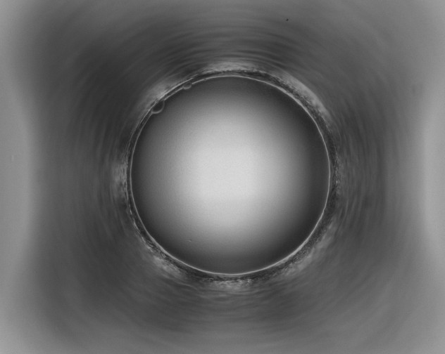 X0000116420937200912081501
