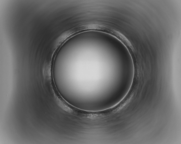 X0000116420938200912081501