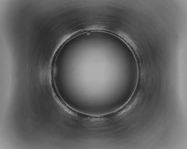 X0000116420941200912081501
