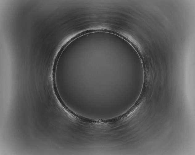 X0000116420943200912081501