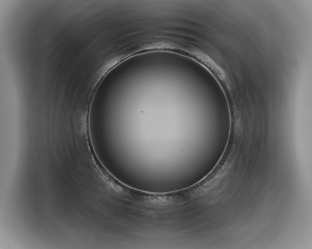 X0000116420945200912081501