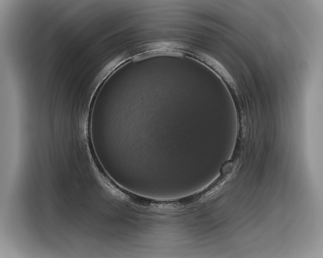 X0000116420946200912081501