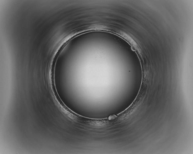 X0000116420947200912081501