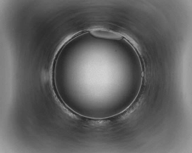 X0000116420949200912081501