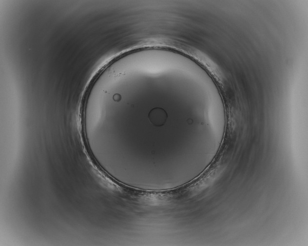 X0000116420950200912081501
