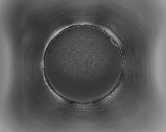 X0000116420951200912081501