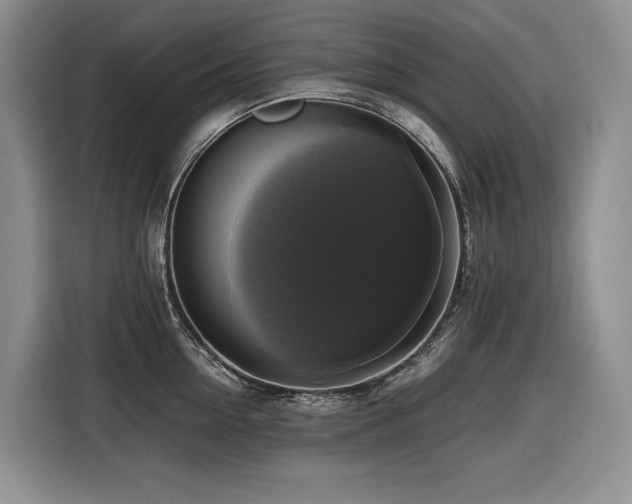X0000116420954200912081501