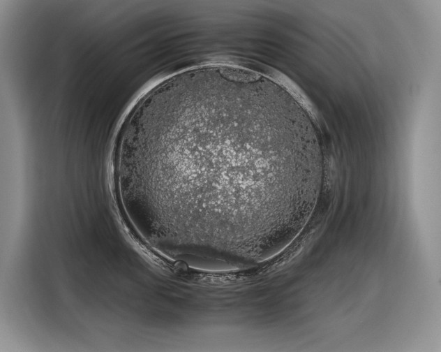X0000116420955200912081501