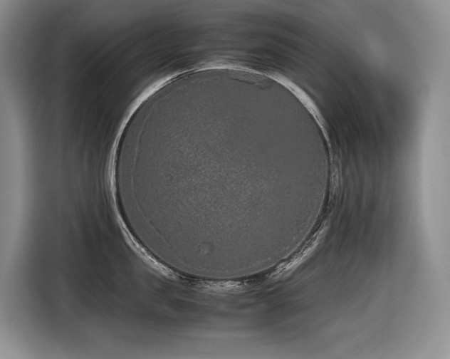 X0000116420957200912081501