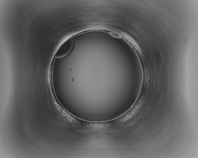 X0000116420958200912081501