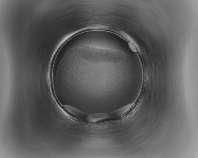 X0000116420959200912081501