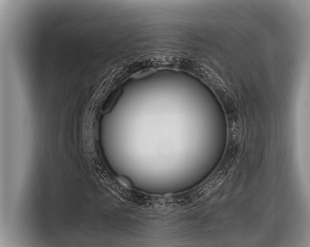 X0000116420961200912081501