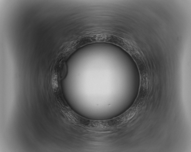 X0000116420962200912081501
