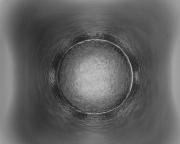 X0000116420963200912081501