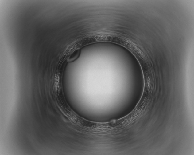 X0000116420964200912081501