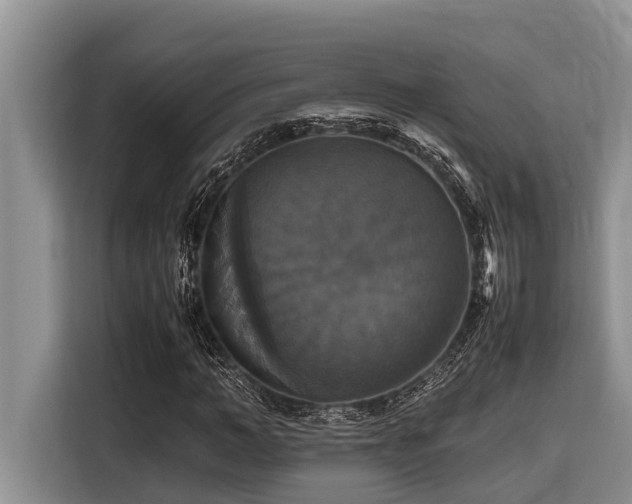 X0000116420966200912081501
