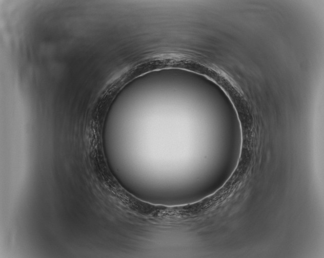 X0000116420967200912081501
