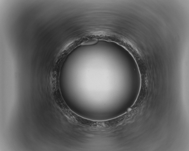 X0000116420968200912081501