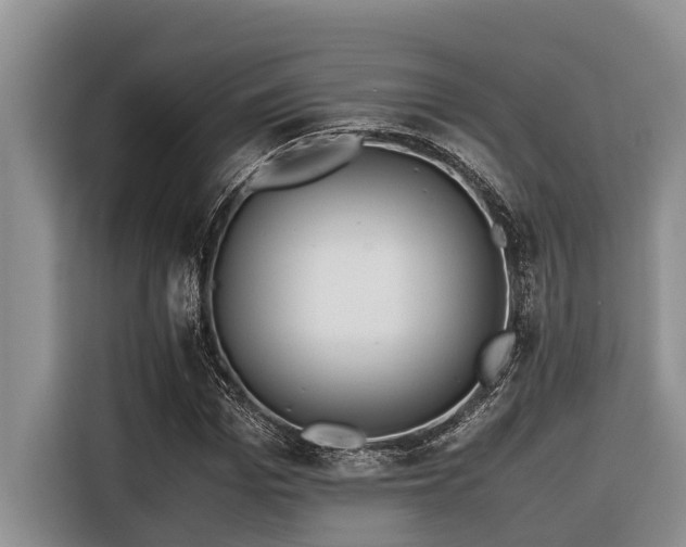 X0000116420969200912081501