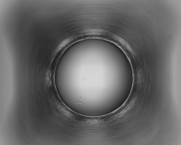 X0000116420970200912081501