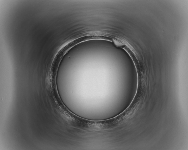 X0000116420971200912081501