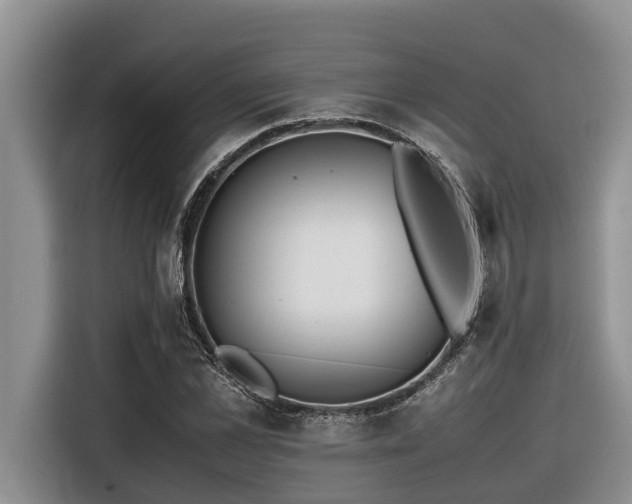 X0000116420973200912081500