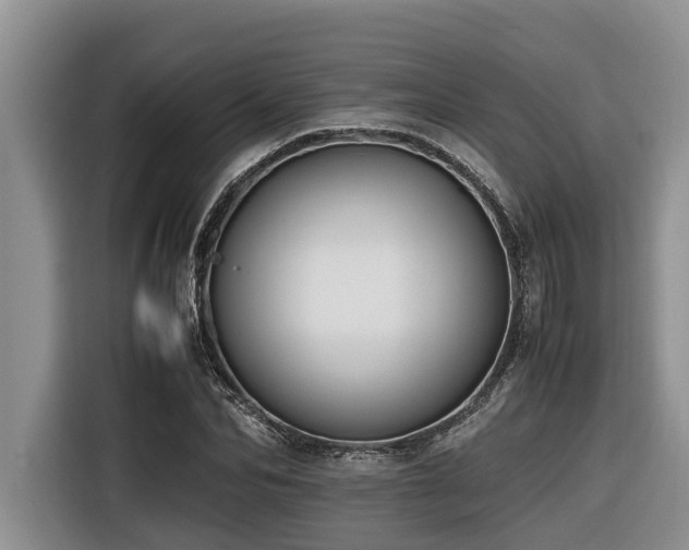 X0000116420974200912081500