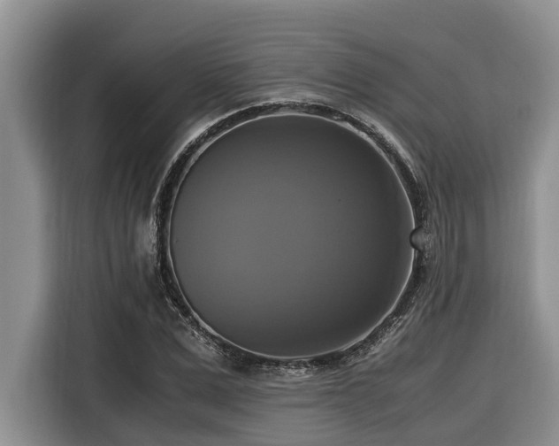 X0000116420975200912081500