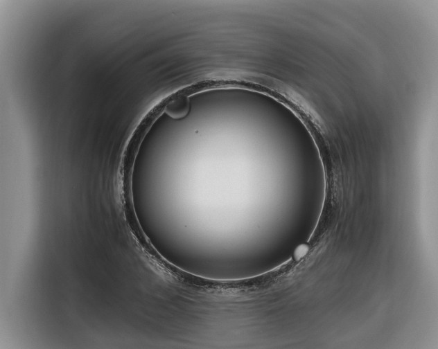 X0000116420976200912081500