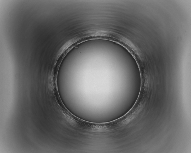 X0000116420978200912081500