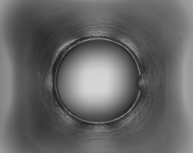 X0000116420979200912081500