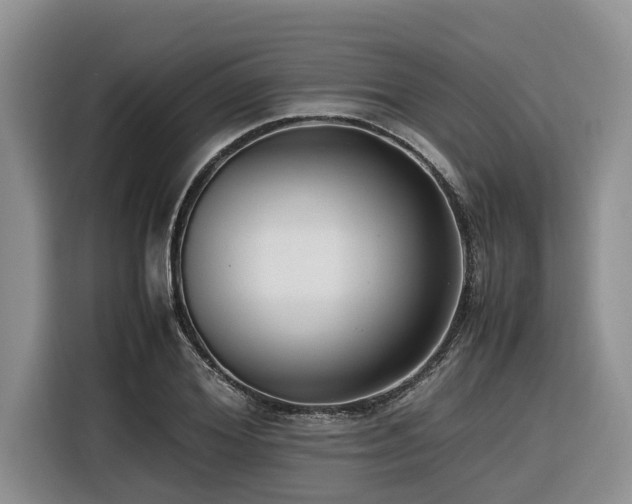 X0000116420980200912081500