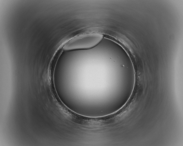 X0000116420981200912081500