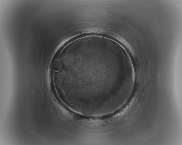 X0000116420983200912081500