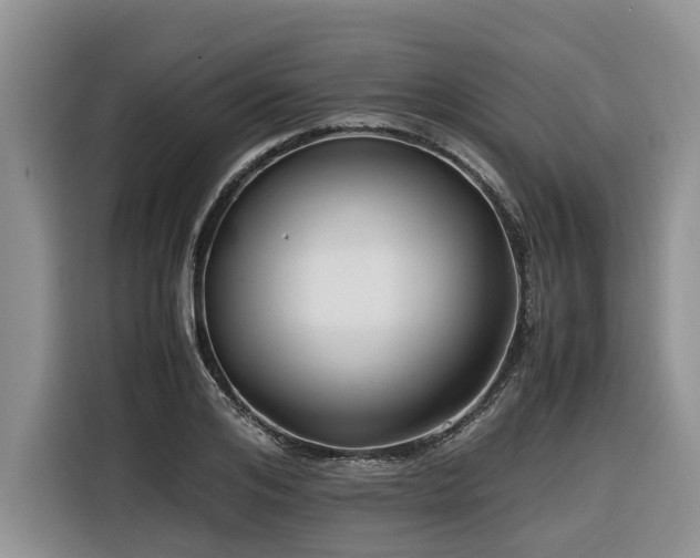 X0000116420984200912081500