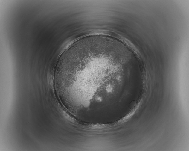 X0000116420985200912081500