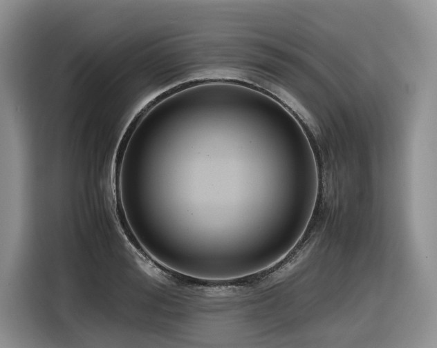 X0000116420988200912081500