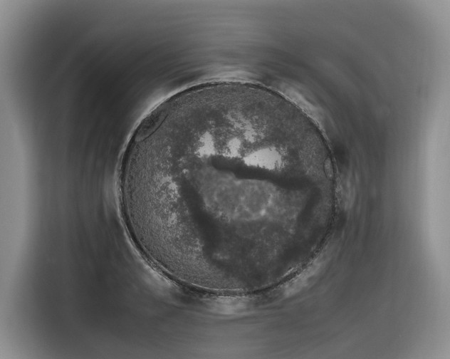 X0000116420989200912081500