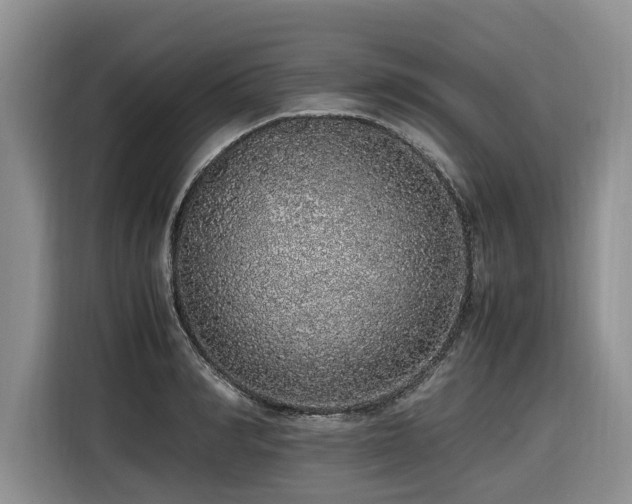 X0000116420990200912081500