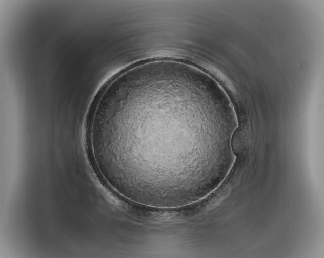 X0000116420991200912081500