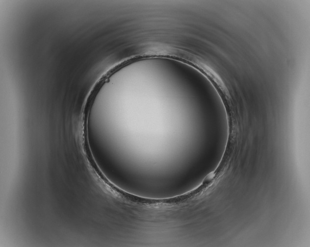 X0000116420992200912081500