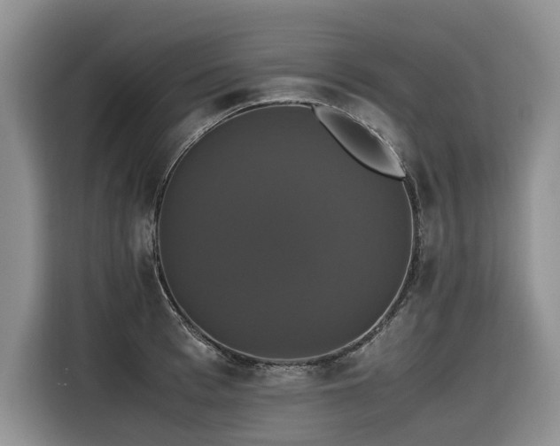 X0000116420993200912081500