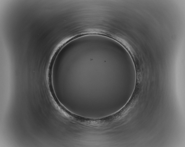X0000116420995200912081500
