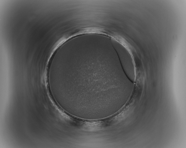 X0000116420997200912081500